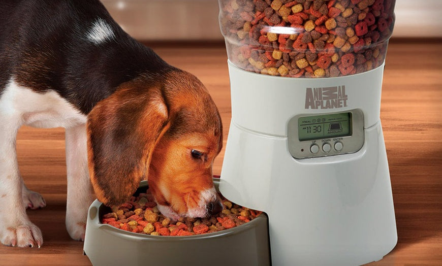 AUTOMATIC PET FEEDERS