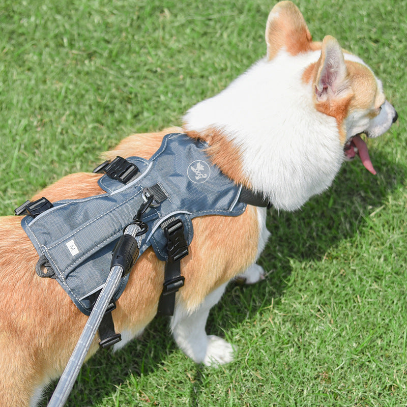 Dog Harness with Hand-Held Leash