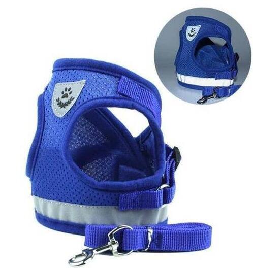 Dog Harness