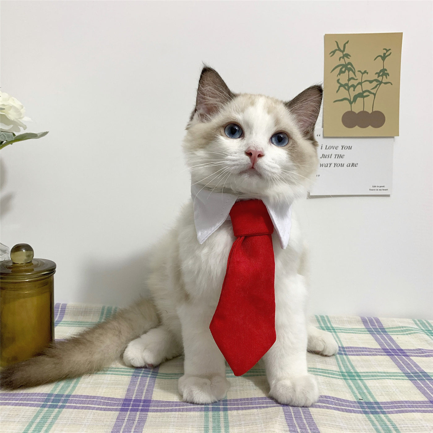 Gentleman Tie Cat Collar