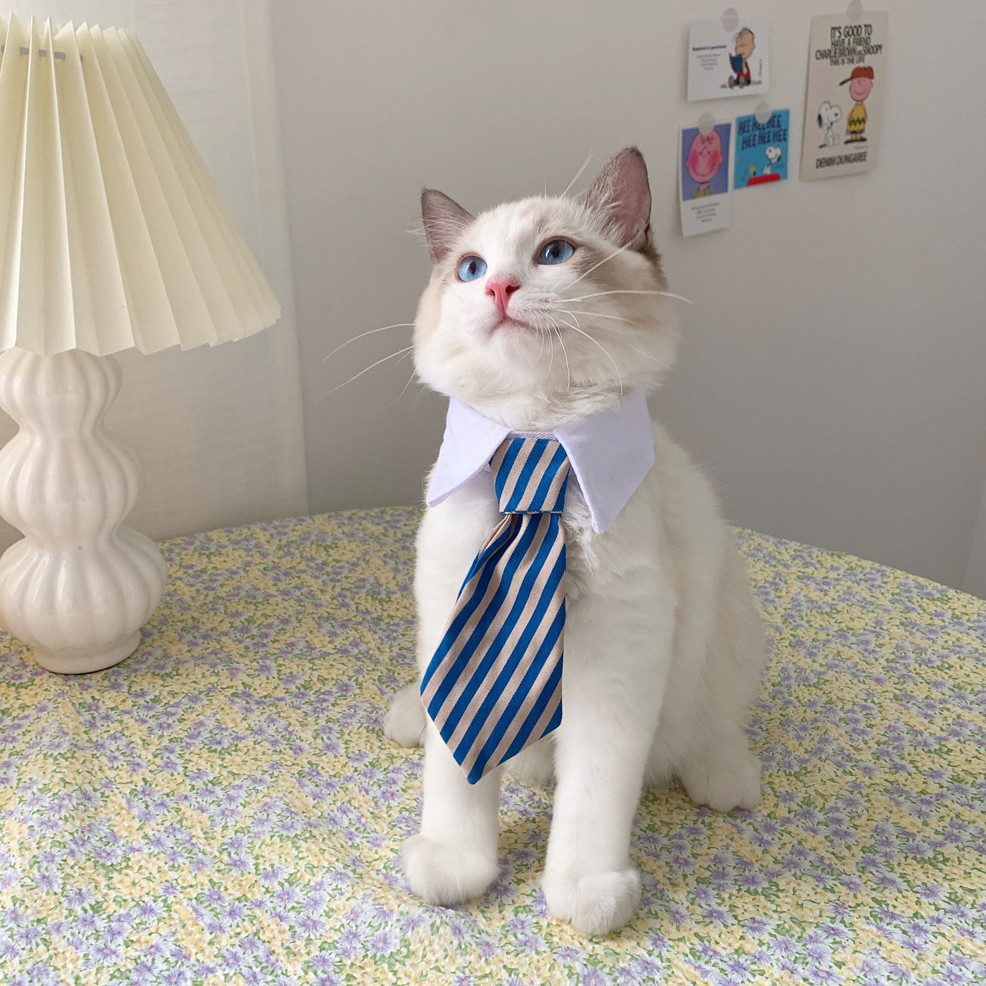 Gentleman Tie Cat Collar