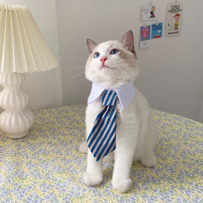 Gentleman Tie Cat Collar