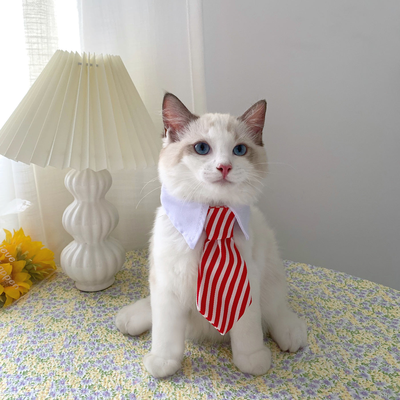 Gentleman Tie Cat Collar