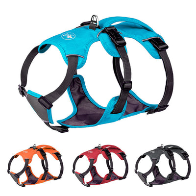 Dog Harness with Hand-Held Leash