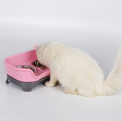 Splash-Proof Stainless Steel Dog & Cat Double Bowl