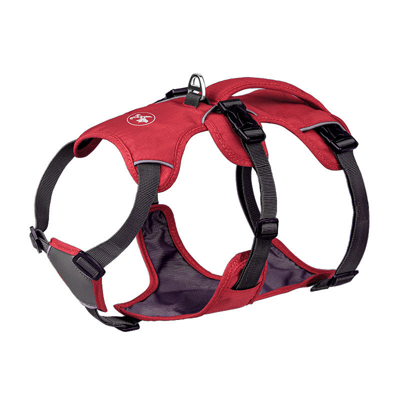 Dog Harness with Hand-Held Leash