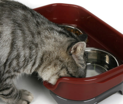 Splash-Proof Stainless Steel Dog & Cat Double Bowl