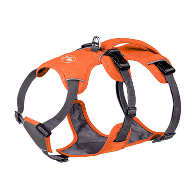 Dog Harness with Hand-Held Leash