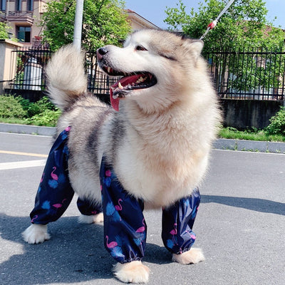 Adjustable_Four-Legged_Dog_Raincoat.