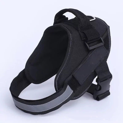 Dog Harness