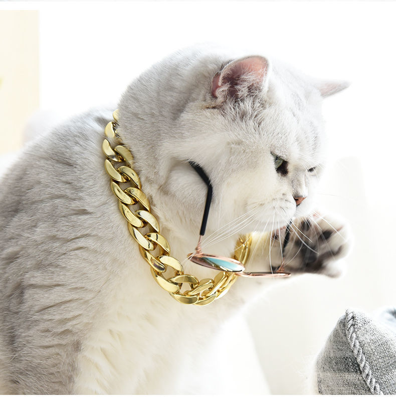 Golden Chain Cat Collar