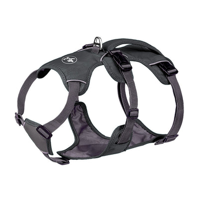 Dog Harness with Hand-Held Leash