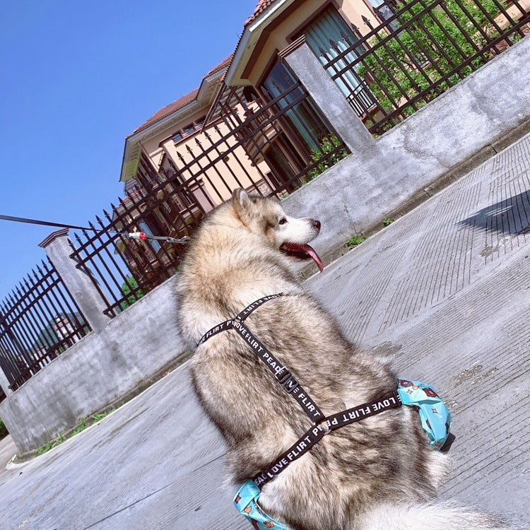 Adjustable_Four-Legged_Dog_Raincoat.